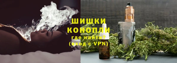 ALPHA-PVP Новозыбков