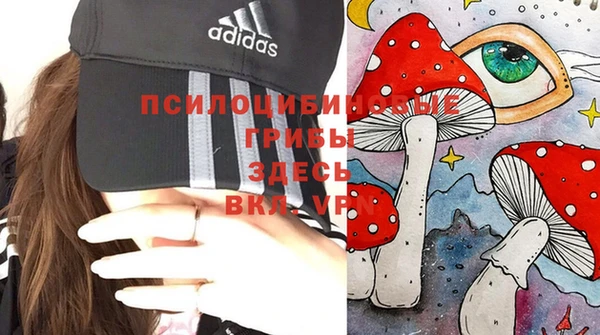mdpv Нязепетровск