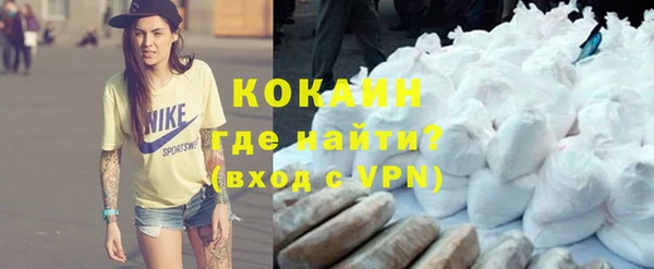 a pvp Свободный
