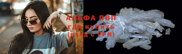 ALPHA-PVP Новозыбков
