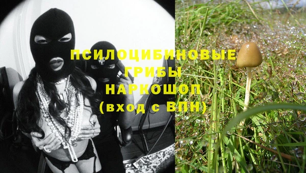 ALPHA-PVP Новозыбков